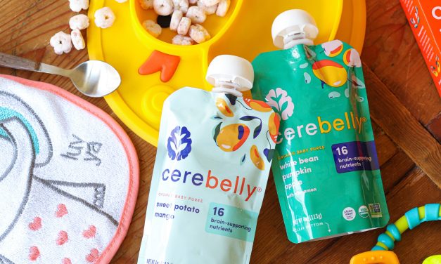 Get Cerebelly Baby Food Pouches As Low As 65¢ At Publix