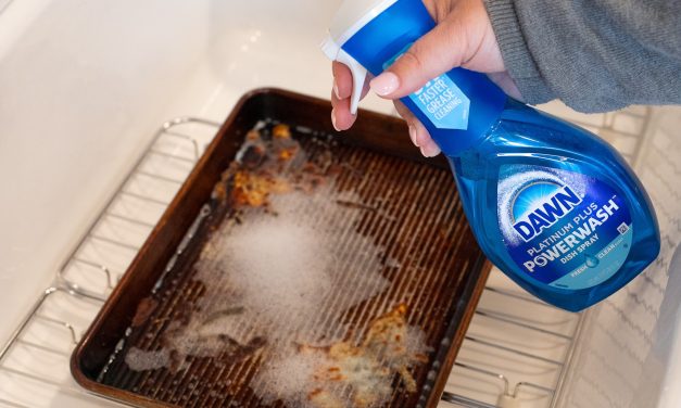 Get A Fantastic Deal On Dawn Powerwash At Publix!