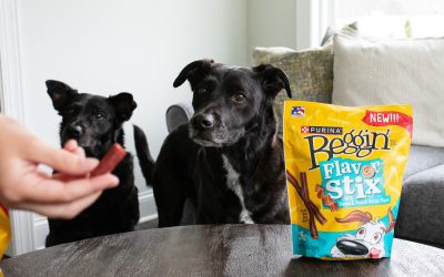 Beggin’ Flavor Stixs Dog Treats Just $5.50 Per Bag At Publix