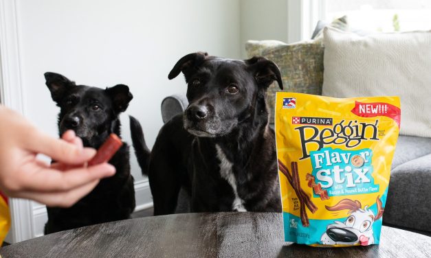 Beggin’ Flavor Stixs Dog Treats Just $5.50 Per Bag At Publix