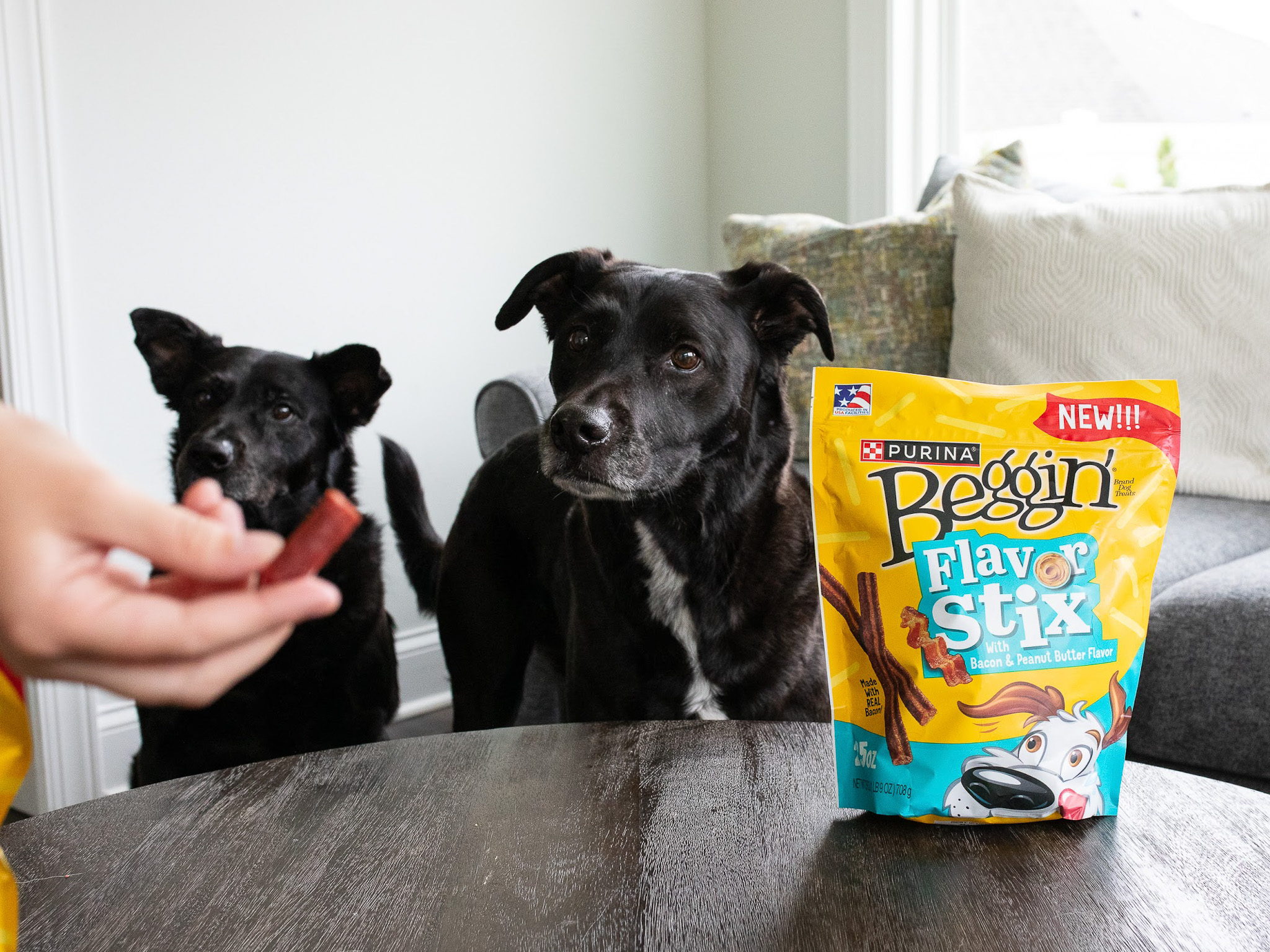 Beggin’ Flavor Stix-1