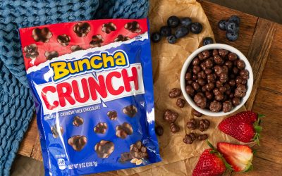 Grab The Bags Of Nestle Buncha Crunch Chocolate Candy For Just $1.80 At Publix
