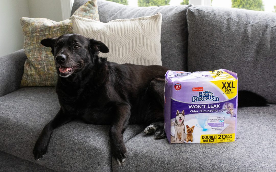 Save $2 On Hartz® Home Protection™ Dog Pads At Publix