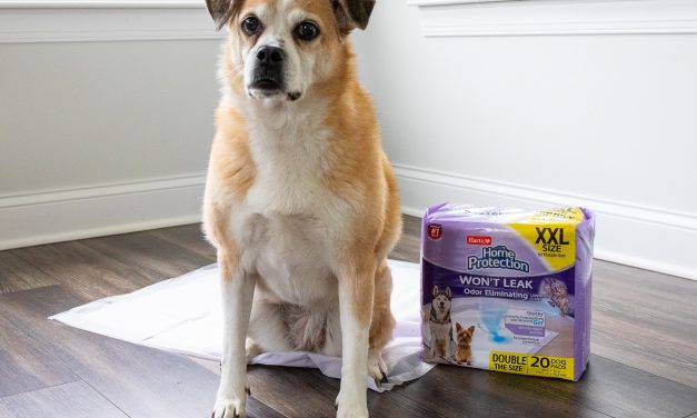 Get Protection & Peace Of Mind With Hartz Home Protection Dog Pads – Save NOW At Publix