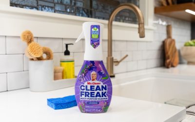 Mr. Clean Clean Freak Deep Cleansing Mist As Low As $2.99 At Publix (Regular Price $7.39)