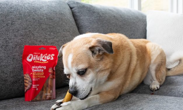 Nice Savings On Hartz® Oinkies® Porkalicious Sizzling Twists – Get $1 Off At Publix