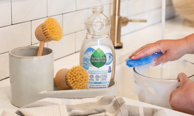 Seventh Generation Dish Liquid As Low As $1.79 At Publix (Regular Price $3.99)