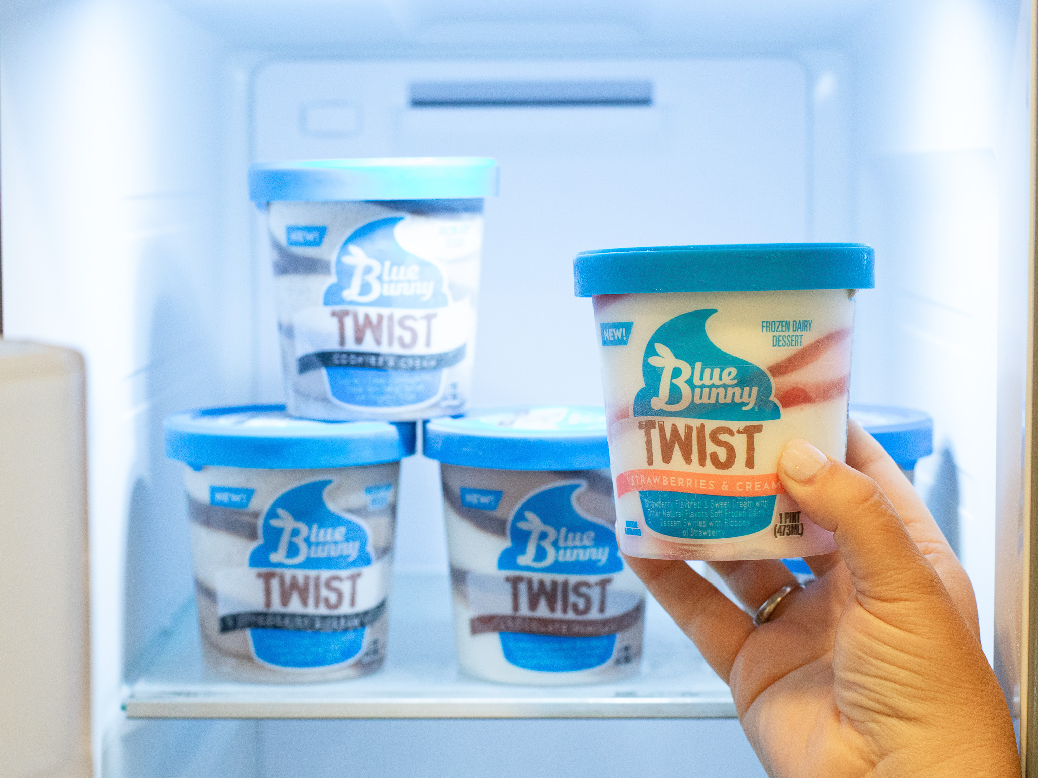 blue bunny blue freezer-2