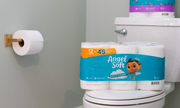 Angel Soft Bath Tissue Just $6.49 At Publix (Regular Price $11.59)