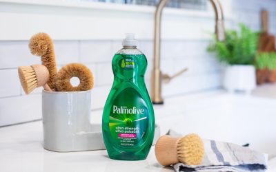 Get Palmolive Dish Soap As Low As $1.50 At Publix (Regular Price $4.99)