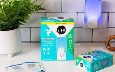 Stem Flying Insects Trap Products As Low As $5 At Publix (Regular Price $19.99)
