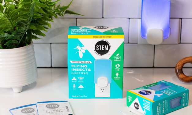 Stem Flying Insects Trap Products As Low As $12.99 At Publix (Regular Price $19.99)
