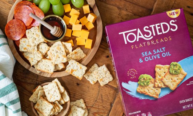 Toasteds Flatbreads As Low As 69¢ At Publix (Regular Price $5.99)
