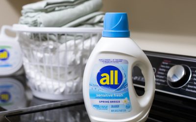 Get All Liquid Laundry Detergent As Low As $9.99 At Publix (Regular Price $15.99)