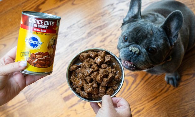 Pedigree Wet Dog Food 12-Pack Cans Just $7.71 At Publix (Regular Price $22.42!)