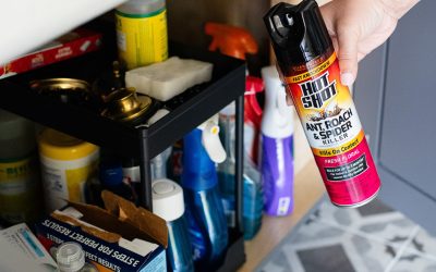 Hot Shot Ant, Roach & Spider Killer Spray As Low As $1.95 At Publix