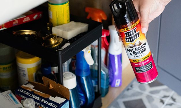 Hot Shot Ant, Roach & Spider Killer Spray As Low As $1.95 At Publix