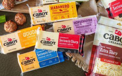 Cabot Cheese Bars As Low As $1.70 At Publix