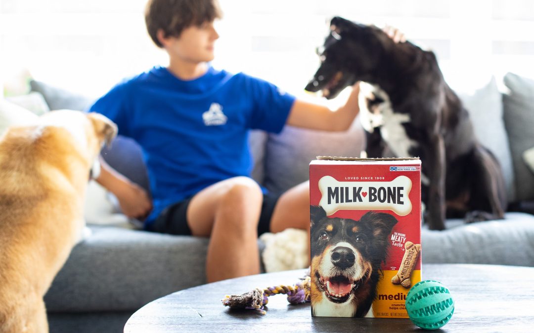 Milk-Bone Dog Treats As Low As $3 At Publix