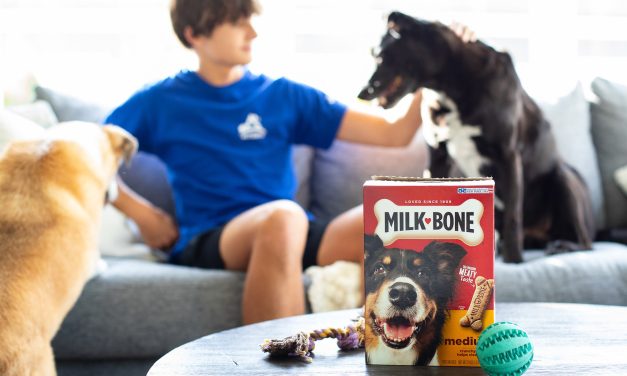 Milk-Bone Dog Treats As Low As $2.50 At Publix