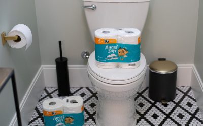 Angel Soft Bath Tissue As Low As $2.10 At Publix