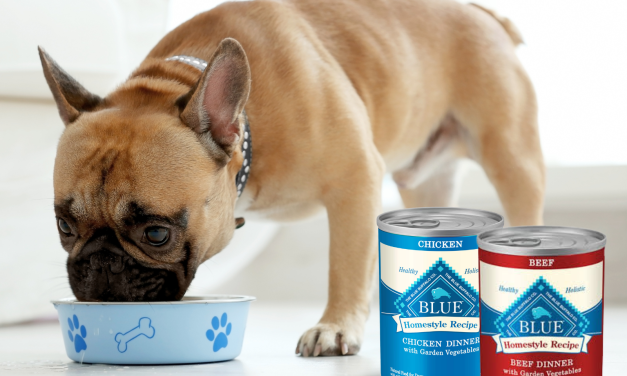 Blue Buffalo Wet Dog Food Just $2.67 At Publix (Regular Price $3.49)