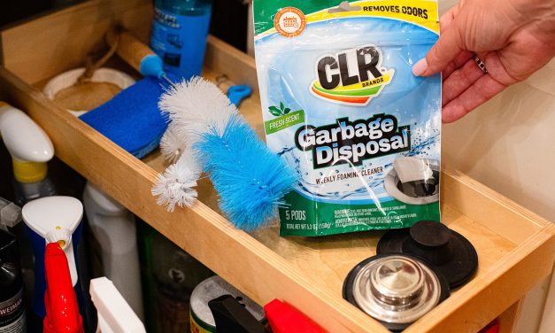 CLR Garbage Disposal Cleaner Just $2.99 At Publix