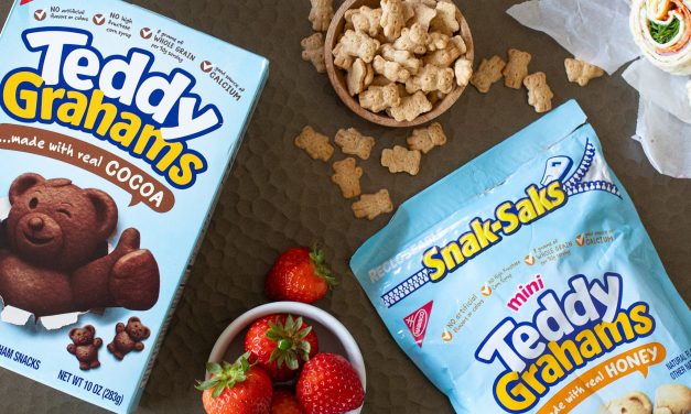 Get Teddy Grahams Snacks For Just $1.25 At Publix