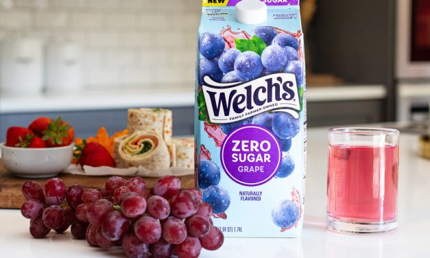 Welch’s Fruit Juice Cocktail Zero Sugar Just $1.25 At Publix