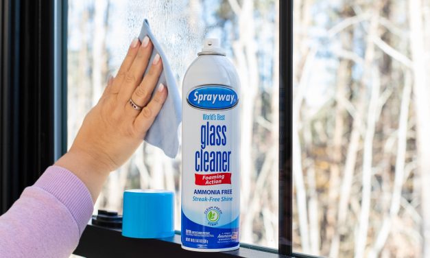 Grab A Deal On Sprayway Glass Cleaner Right Now At Publix – Just $2 Per Can!