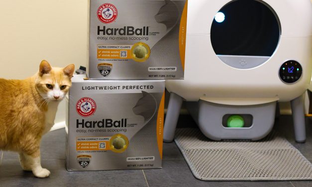Arm & Hammer Hardball Lightweight Cat Litter As Low As $5.50 At Publix (Regular Price $16.99)