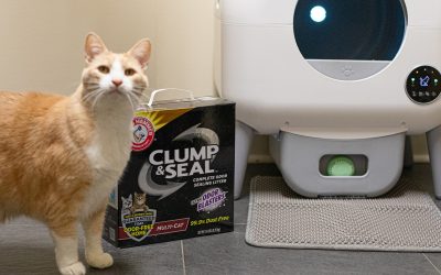 Arm & Hammer Cat Litter As Low As $6 At Publix