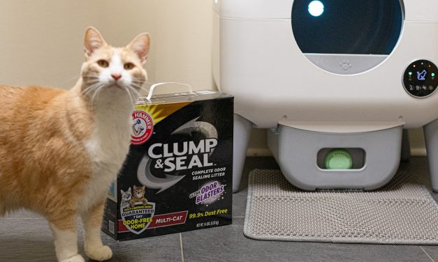 Arm & Hammer Cat Litter As Low As $2.09 At Publix