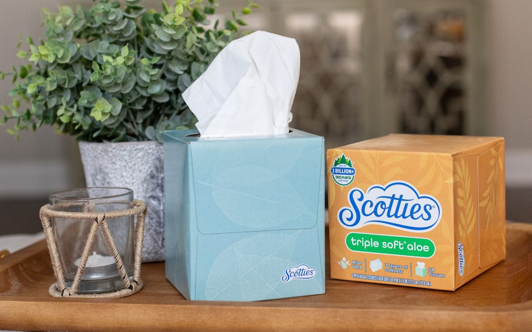 Get The Boxes Of Scotties Facial Tissues For Just $1.25 At Publix