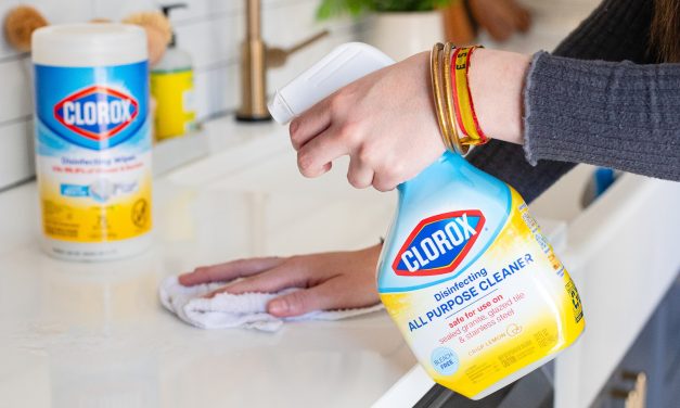 Get Clorox Spray Cleaners As Low As $3.50 At Publix