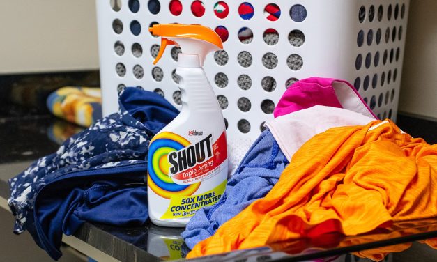 Shout® Triple Acting Is Your Secret Weapon Against Life’s Messy Moments – BOGO Sale At Publix