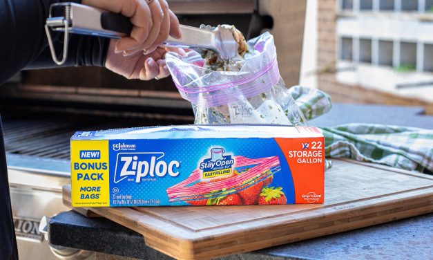 Summer Fun Starts with Ziploc® Brand Bags – Don’t Miss the BOGO Sale at Publix!