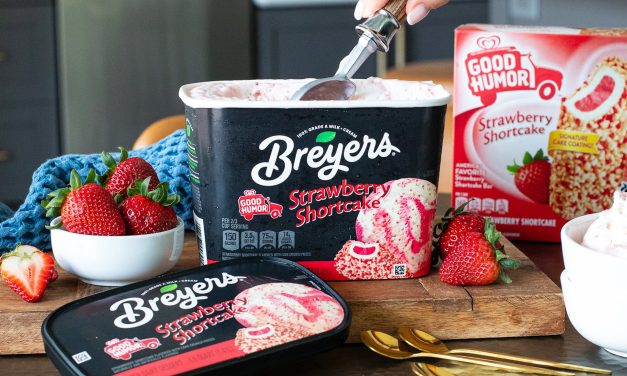 Treat Yourself To BOGO Breyers – Save At Publix