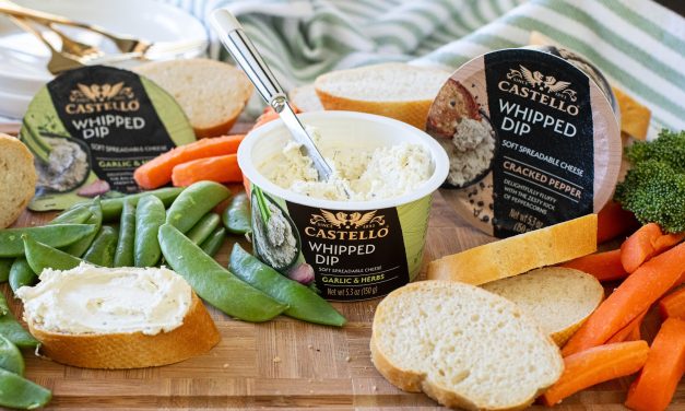 Castello Whipped Dip Just $1.50 At Publix (Regular Price $4.99)