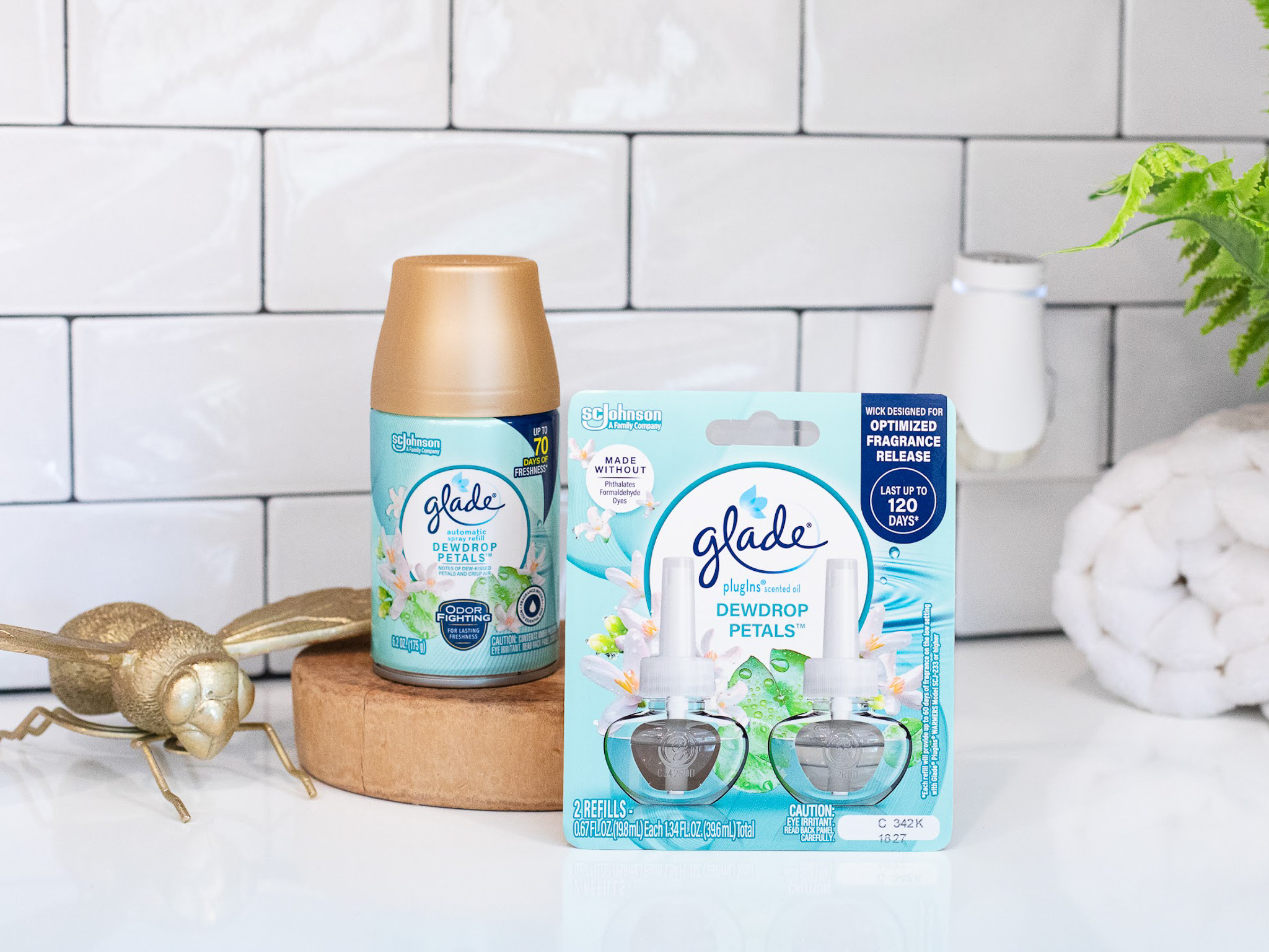 Glade dewdrop petals