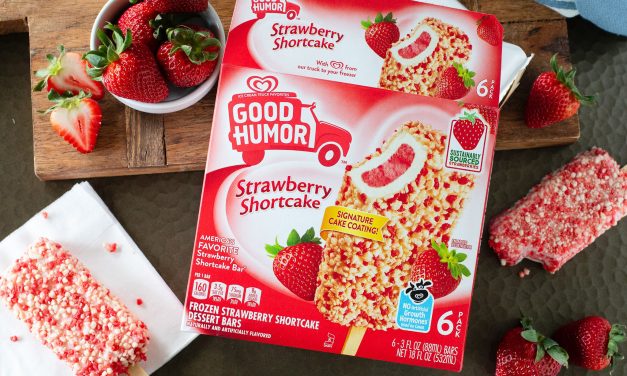 Cool Off With A Sweet Treat – Good Humor Bars Are BOGO At Publix!