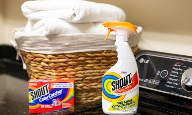 Shout Laundry Stain Remover As Low As $1.35 At Publix