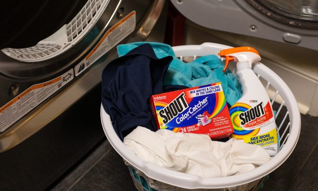 Bring Home Shout® Products – Laundry Essentials For Busy Families!