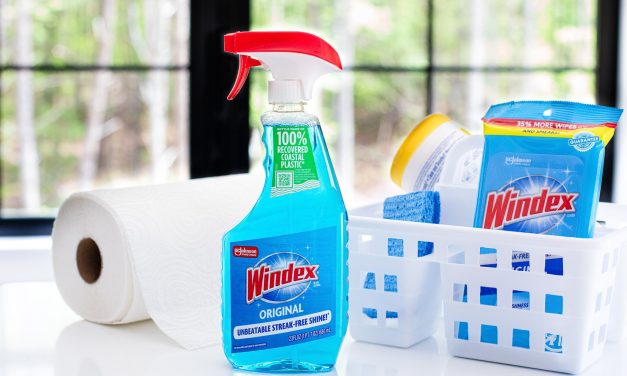 Let The Sun Shine In With Windex® Glass Cleaner – On Sale Now At Publix