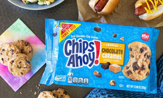 Get Family Size Nabisco Chips Ahoy! Cookies For As Low As $3.50 At Publix