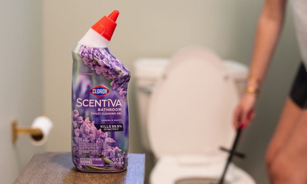 Get Clorox Toilet Bowl Cleaner For As Low As $1.50 At Publix