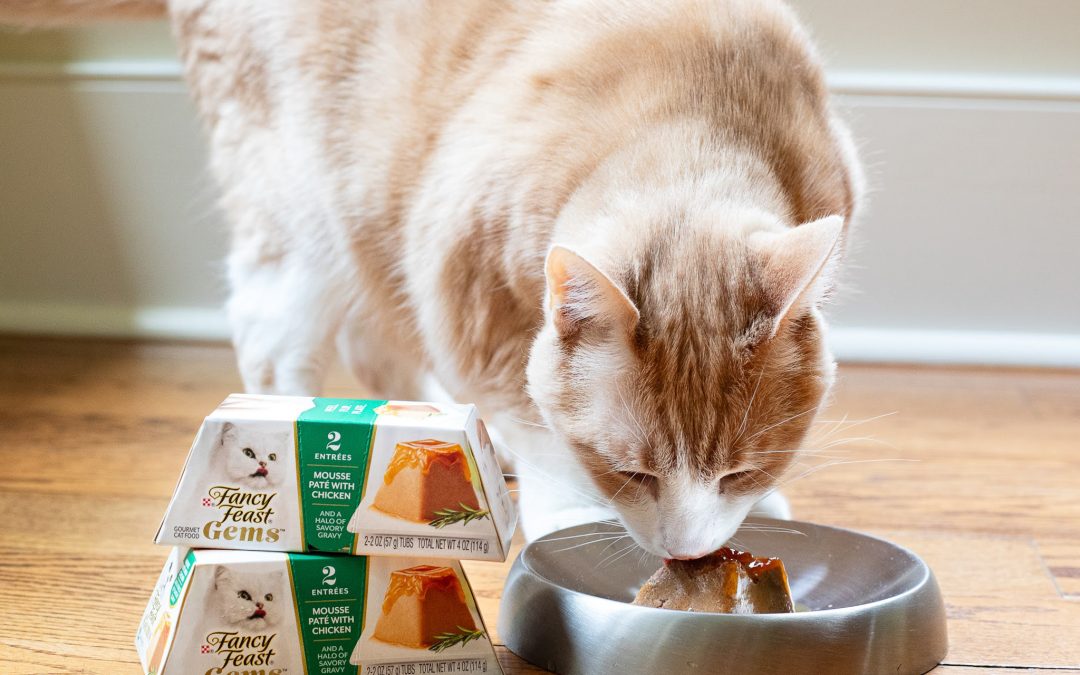 Fancy Feast Gems Wet Cat Food Packs Just $1 At Publix