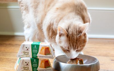 Fancy Feast Gems Wet Cat Food Packs As Low As 75¢ At Publix