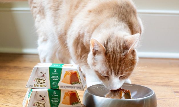 Fancy Feast Gems Wet Cat Food Packs Just $1 At Publix