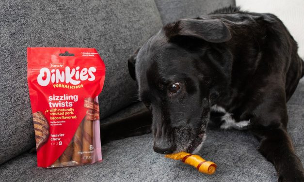 Save $1 Off Hartz® Oinkies® Porkalicious Sizzling Twists At Publix